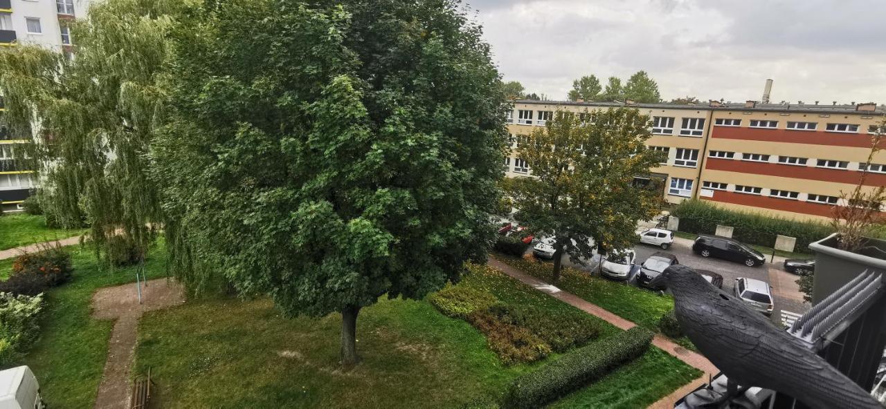 Апартаменты Kawalerka Z Balkonem 27 Ченстохова Экстерьер фото